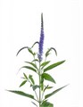 Вероника-Veronica-Skyler Blue-52cm-TB 18bf52ce-9d69-11f0-0a80-0d170000ead7