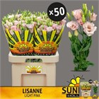 Лизиантус G-Lisianthus G-Lisanne L Pink-70cm 22fe921b-9ceb-11ee-0a80-14c300020b82