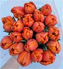 Тюльпан оранж пион. (Краснодар) 030e117e-c065-11ec-0a80-028b000f9c84