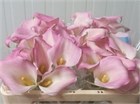 Калла-Zantedechia-Capt Marrero-50cm 4682d3d1-4f75-11f1-0a80-0be8002415a9