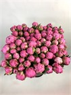 Пион-Peony-Alex Flaming-50cm-CE 6a03952f-43e5-11f1-0a80-0d64002e3155