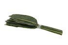 Лист стрелиции-Strelitziablad 100cm-/GW 8b25d039-506a-11f1-0a80-19e30012f7fb