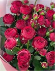 Роза спрей Maroon 60 6c71e55b-5398-11f1-0a80-11ef00323492