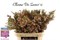 Ваксфлауэр-Chamelacium-Un My Sweet 16-80cm-100gr cdbe5694-55c9-11f1-0a80-0d6a001147e0