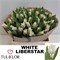 Тюльпан-Tulip-Co White Libersta-35cm-23gr cdf5083f-55c9-11f1-0a80-0d6a00114830