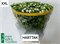 Гвоздика-Dianthus-Barb S Will White-70cm bb28148e-56a5-11f1-0a80-0d6a003d22dd