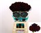 Скабиоза-Scabiosa-At Bb Ma Ch Sco-60cm bb54f6a8-56a5-11f1-0a80-0d6a003d22ef