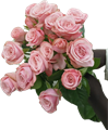 Роза куст-Rosa sp-Birds Nest-53cm-TB 198ad79e-9d69-11f0-0a80-0d170000ebe2