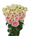 Роза куст-Rosa sp-Gellato-53cm-TB 198c9fb8-9d69-11f0-0a80-0d170000ebe5