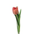 Тюльпан-Tulip-En Escape-38cm-40gr 19acdf77-9451-11ee-0a80-0cc70013939d