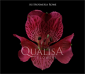 Альстромерия-Alstroemeria-Rome Hot Pink-80cm-QA 02189bae-fad4-11ed-0a80-0e3e0006bb7c