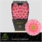 Гербера-Gerbera-Mi Juna Diamond-50cm 6522cdad-5b53-11f1-0a80-0cb600018138