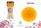 Гербера-Gerbera-Mi Springtime Diamond X80-50cm 659a0526-5b53-11f1-0a80-0cb60001814d