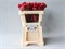 Латирус-Lathyrus-Parfum Dp Red-50cm 65a560da-5b53-11f1-0a80-0cb600018153