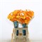 Калла-Zantedechia-Capt Serengeti-60cm 65ac9483-5b53-11f1-0a80-0cb600018159