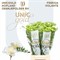 Фрезия-Freesia-Du Volante-52cm-23gr 65eb3013-5b53-11f1-0a80-0cb60001815f
