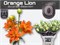 Лилия-Lilium-La Du Orange Lion 3pit-80cm 65ef0e51-5b53-11f1-0a80-0cb600018162