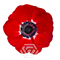 Анемон-Anemone-Mistral Rosso-30cm-RA 09f6bc0a-5d9a-11f1-0a80-16b0007d05b5