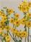 Ранункулус-Ranunculus-Moderna Sorrento-55cm-RA 0a303864-5d9a-11f1-0a80-16b0007d05d1