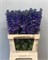 Дельфиниум-Delphinium-Du Christel-90cm 4ad4d1fe-64e1-11ed-0a80-0d5c00122cf7