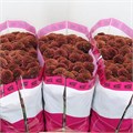 Хризантема сант-Chrysant sant-Aaa Doria Cher-55cm-100gr 023067c6-b243-11ef-0a80-199e001580f9