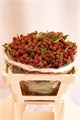 Рубус-Rubus-Fr Chester--40cm 1c0b2aa4-bfa5-11ec-0a80-0b4c00079ae3
