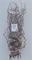 Корилус-Corylus-Av Contorta-80cm 1c2f7f53-72e4-11ed-0a80-00bd00171385