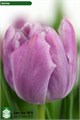 Тюльпан-Tulip-Du Katinka-37cm-31gr 1c6d965d-72e4-11ed-0a80-00bd00171397