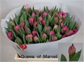 Тюльпан-Tulip-Du Queen Of Marve-35cm-32gr 1e1bef64-a72c-11ee-0a80-0038001d4c2c