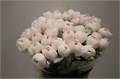 Ранункулус-Ranunculus-Cloni Ex Hanoi-45cm-vp 1e924dbf-a15e-11ed-0a80-067a00085086
