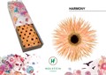 Гербера-Gerbera-Gr Gersp Doos Harmony-45cm 1ede0293-b863-11ee-0a80-119f003462e7