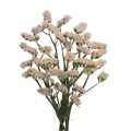 Лимониум-Limonium-Apri Sun Birds-80cm-66gr 1f4590eb-b863-11ee-0a80-119f003462ff