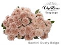 Хризантема сант-Chrysant sant-Dusty Beige--55cm-110gr 1f762fb7-2211-11ed-0a80-04b90032341b