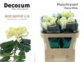 Хризантема одн-Chrysant Gr-Vienna White-80cm-100gr 1f8fbf4d-bfa6-11ec-0a80-0b4c0008827f