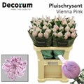 Хризантема одн-Chrysant Gr-Vienna Pink-70cm-100gr 1f9aa636-bfa6-11ec-0a80-0b4c00088288