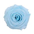 Роза-Rosa-Baby Blue-50cm-IS 1fae446f-bfa9-11ec-0a80-0b4c000b14f7