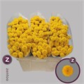 Хризантема сант-Chrysant sant-Aaa Aurinko-55cm-125gr 20618f12-bfa6-11ec-0a80-0b4c00088339