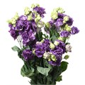 Лизиантус G-Lisianthus G-Alissa Blue-/70cm 215102d9-0a34-11ef-0a80-0c51002430e4