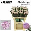 Хризантема одн-Chrysant Gr-Vienna Pink-80cm-90gr 21d25182-bfa6-11ec-0a80-0b4c00088480
