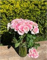 Роза-Rosa-Christa-50cm-AG 23724e39-bfa9-11ec-0a80-0b4c000b2234