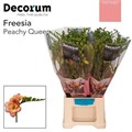 Фрезия-Freesia-Peachy Queen-50cm-20gr 24ef94ea-370e-11ed-0a80-08410049108c