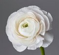 Ранункулус-Ranunculus-White-40cm-IS/ 2540bbe6-b8a9-11ef-0a80-083f00129ef8