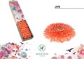 Гербера-Gerbera-Mb Gerponi Jive-45cm 26311bf8-bfa4-11ec-0a80-0b4c0006ac83
