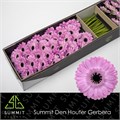 Гербера-Gerbera-Mi Bentley Doos-45cm 266a522e-bfa4-11ec-0a80-0b4c0006accc