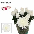 Хризантема одн-Chrysant Gr-Antonov-75cm-105gr 03bd7b04-bfa6-11ec-0a80-0b4c00086886