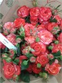 Роза куст-Rosa sp-Voltaire-90cm-RS 2783103d-11fe-11ee-0a80-0bfe00168893