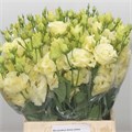 Лизиантус G-Lisianthus G-Alissa Yellow-70cm-55gr 289048db-ab3d-11f0-0a80-157e000bf710
