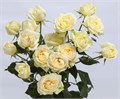 Роза-Rosa-Cream Juliet-60cm-CN 28f5d9f7-44d9-11ef-0a80-0be5001f81b1