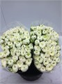Ранункулус-Ranunculus-Zwaar Wit-44cm 0403dddf-5376-11ed-0a80-0b7900380a3e
