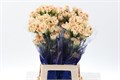 Гвоздика ст-Dianthus st-Cappuccino-65cm 29dffa04-5c74-11ef-0a80-146c0035689e